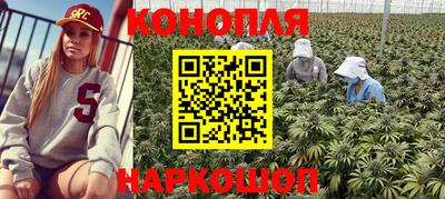 индика Заволжье