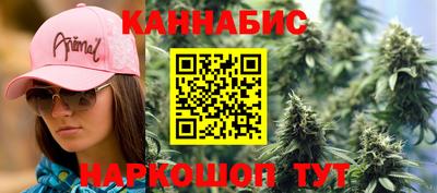 индика Заволжье