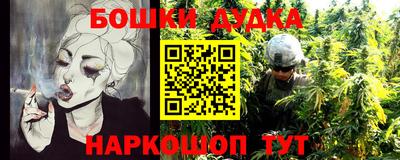 индика Заволжье