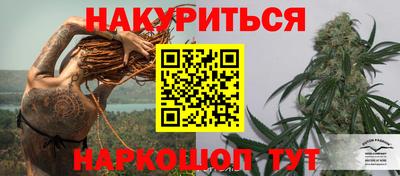 индика Заволжье