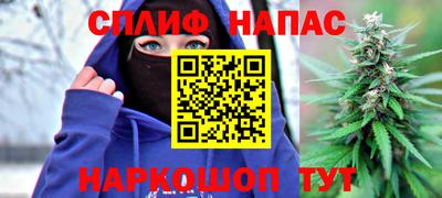 индика Заволжье