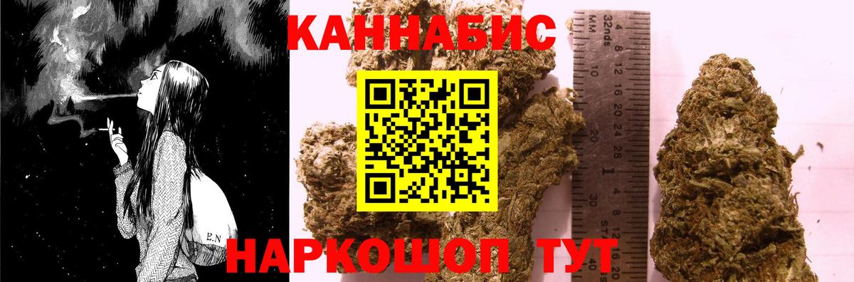 Конопля сатива Канаш